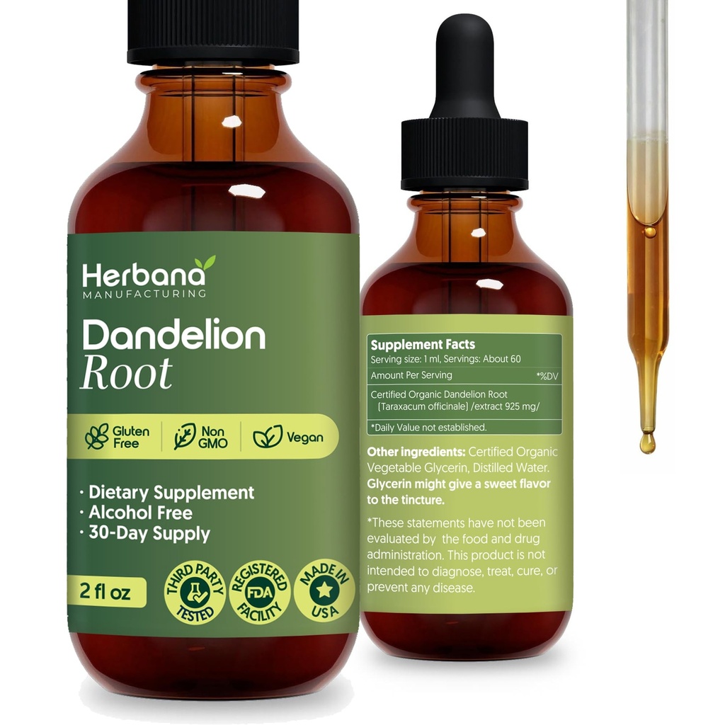Dandelion Root 4 の fl の oz の液体のエキス - 清潔になることのための自然な草の補足、消化機能及び免除 - 有機性 Taraxacum の officinale - 家族のサイズ - 高い効力の低下 - 90 日の供給