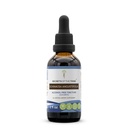Tribe Echinacea Angustifolia Tinctureアルコールフリー液体エキスの秘密、責任ある農場でEchinacea Angustifoliaドライルート(2FL OZ)