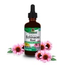 Nature's Answer Echinacea Extract | ヘルシーな免疫システムをサポート | ヴィーガン, グルテンフリー, アルコールフリー, 非GMO&コーシャ認定 | 2oz