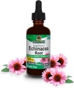 Nature's Answer Echinacea Extract | ヘルシーな免疫システムをサポート | ヴィーガン, グルテンフリー, アルコールフリー, 非GMO&コーシャ認定 | 2oz
