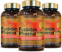 Fucoidan Phoenix Advanced 3 Pack