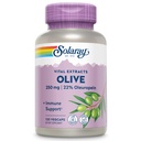 SOLARAY Olive 250mg - オリーブリーフエキスカプセル22%オーロペイン、プラスレモンバーム - ウェルネスサポートのためのポリフェノールサプリメント - ビーガン、60日保証、ラボ検証 - 120のサービング、120ベジキャップ