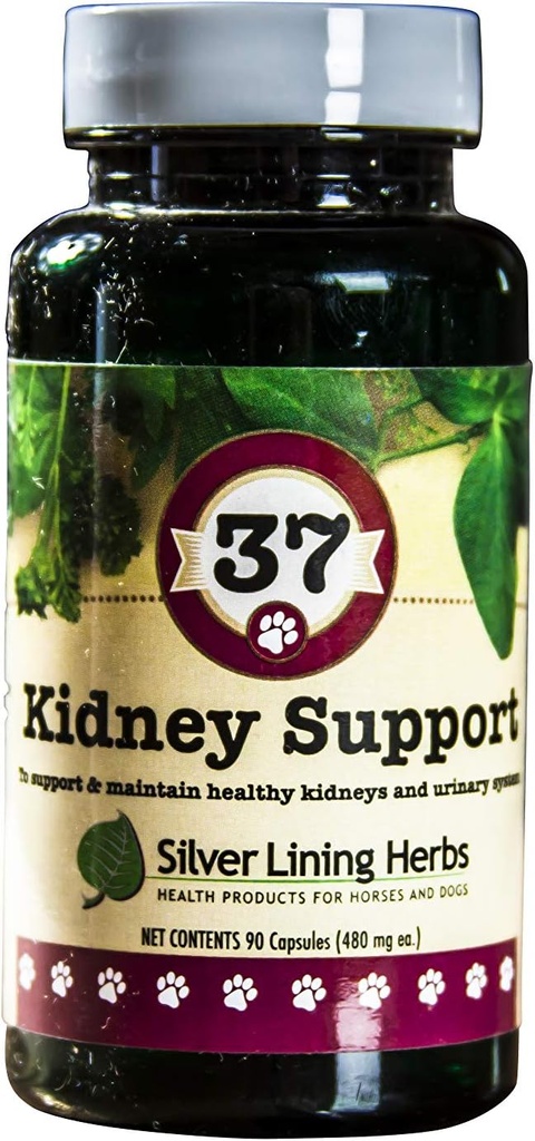 Silver Lining 37 Canine Kidney Support - Herbal Dog Supplement - Natural Support Blend for Normal Kidney & Bladder Function - 90 Capsules