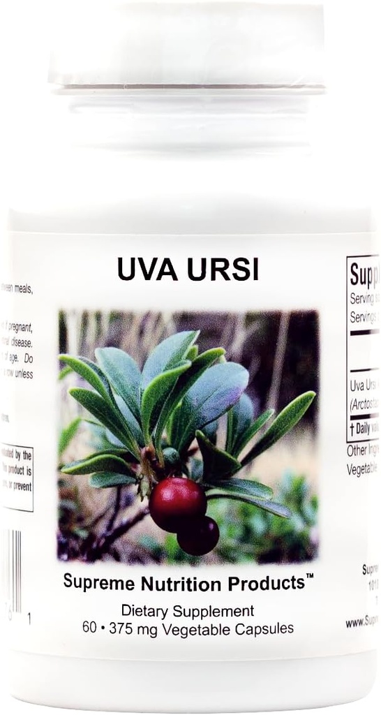 最高栄養Uva Ursi、60の純粋なBearberryのベジタリアンのカプセル