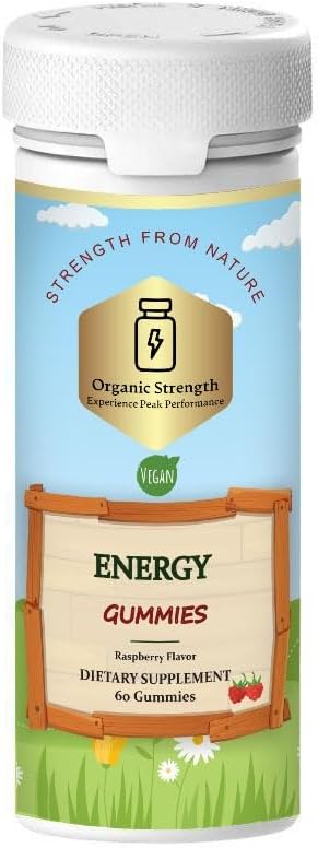 ビーガンエネルギーグミ: ビタミンB12の100mcgと自然Vitalityであなたの日を無視します (60 カウント)