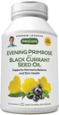 ANDREW LESSMAN イブニング Primrose と ブラック カラント シード オイル 360 Softgels - Soothes 物理的な 不快感 と 気分転換 による 月経周期、Gamma-Linolenic、オメガ-6 脂肪酸、添加剤なし