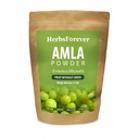 Herbsforever Amlaパウダー | Phyllanthus Emblica、ビタミンC&抗酸化剤、ヘルシーな免疫、非GMO、ビーガン、454 GMS | 毎日のウェルネスのための自然スーパーフード