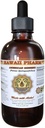 Hawaii Pharm American Ginseng Liquid Extract, Ginseng (Panax Quinquefolius) Dried Root Tincture Supplement 4 oz