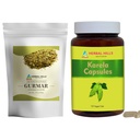 HERBAL HILLS Gurmar TeaパウダーとKarelaカプセルパック2コンボ