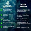 ハリスティックビントンカットアリエキスパウダー - Sumatran Forestsから収穫されたプレミアムロングジャック - ハーブ - フィラーや防腐剤なし - 50グラム