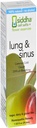Siddha Remedies Lung & Sinus Spray for Sinus Edward, Congestion Edward, Cough Suppressant, Cold Medicine, Runny Nose | Homeopathic Allergy Medicine Edward | Non GMO w/Cell Salt, Noアルコール, Sugar ノンアルコール