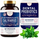 WINDSOR BOTANICALS Lactobacillus Salivarius Probioticsおよび歯科プロバイオティクスの口頭健康の束