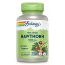 SOLARAY Hawthorn Berry Capsules 1050 mg - ハーブサポート - 全体的なウェルネスサポートのためのホーソーンベリーサプリメント - 全ベリー、ビーガン、非GMO、60日保証、90のサービング、180 VegCaps