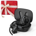 高齢者および大人のための再充電可能なBTEの補聴器、騒音の取り消しおよび5の調節可能な容積のレベル、黒い標準版が付いている重度の補聴器のための標準的な黒モデル