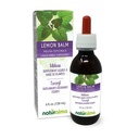 ナチュラルマレモンバーム(Melissa officinalis)リーフアルコールフリーチンチャー - 4 fl oz 液体エキス - ハーブサプリメント - ビーガン