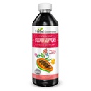 Papaya 葉血サポート 液体 - 15X 強度 - Papaya 葉抽出物 - 健康な血小板、血液浄化、消化、パパイヤ酵素 -12oz 液体 - ハーブ ウェルネス (1 bttl)