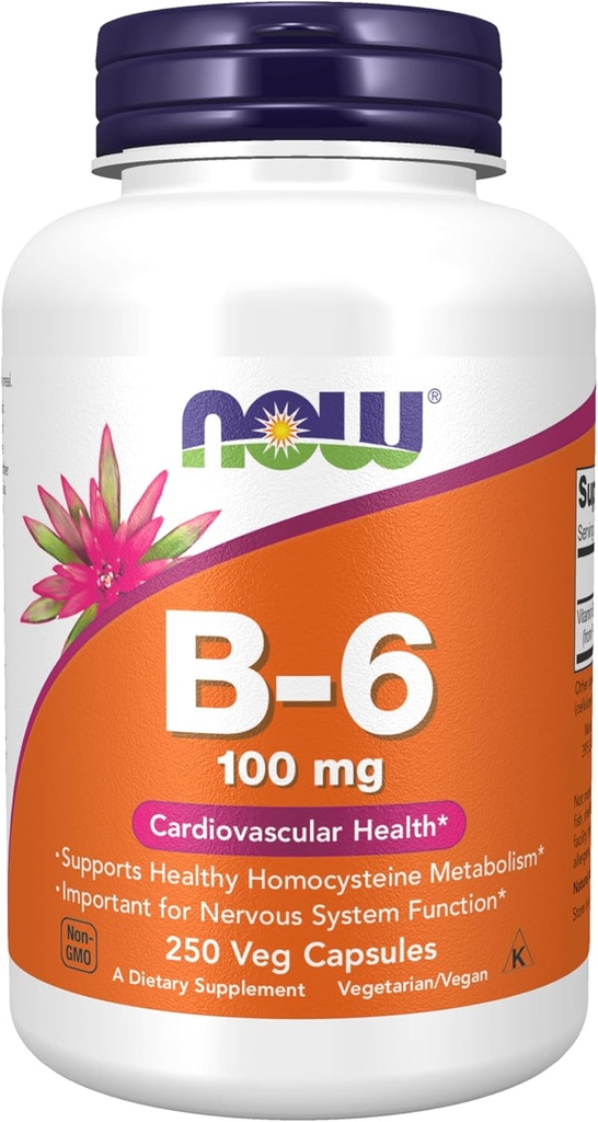 NOW食品は、ビタミンB-6(ピリドキシンHCl)100mg、心血管の健康、250ベジーカプセルを補います