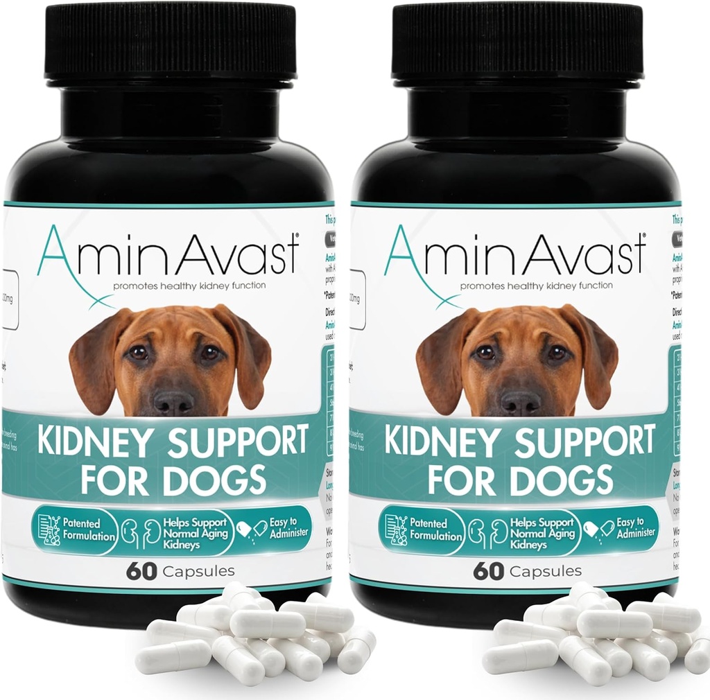AminAvast Kidney Support Supplement for Dogs, 1000mg 2-Pack - Promotes Natural Kidney Function - Aids in Health and Vitality of Aging Kidneys - Easily Administered - 60 Sprinkle Capsules