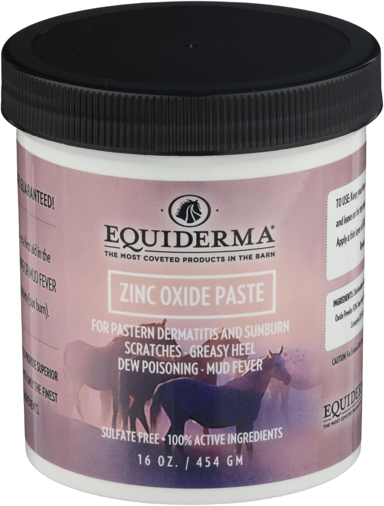 Equiderma Zinc Oxide Paste for Horses, 16 oz | Treatment for Pastern Dermatitis, Scratches & Sunburn | Protective Water-Resistant Barrier & UV Shield | Equine Skin Treatment