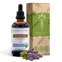 Tribe Bugleweed Tinctureアルコールフリー液体エキス、USDA Organic Bugleweed(Lycopus Virginicus)乾燥ハーブ(4 FL OZ)の秘密