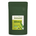 バンヤン植物Bhumyamalakiパウダー - 有機肝健康サプリメント* - Phyllanthus spp。 - 自然解毒と肝臓の浄化のために* - 1/2ポンド - 非GMO持続的に供給ビーガン