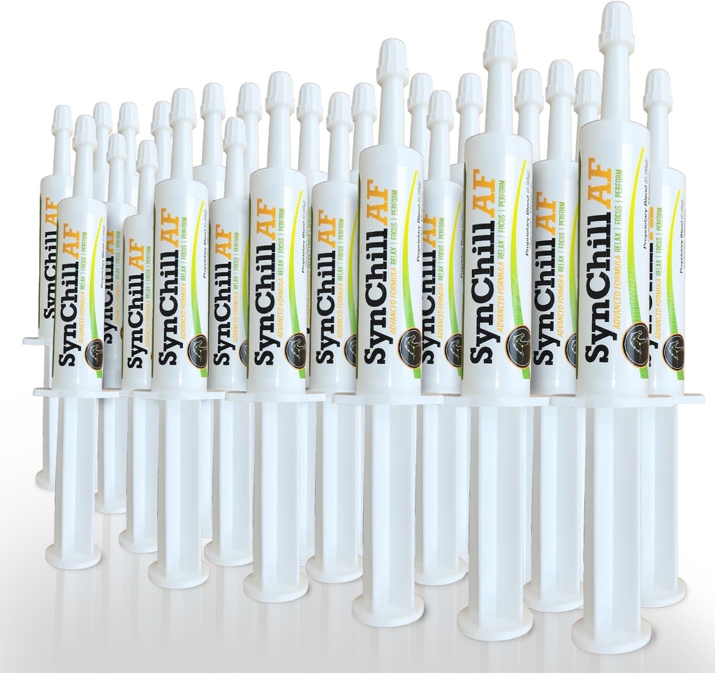 神経の馬のためのSynChill AF Calmingゲル - シングルサービング - L-テアニン、増加された効力、100%の自然な補足、馬のための処分及び機密サポート - 25パック