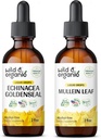 ワイルド&オーガニックEchinaceaゴールデンシールチンチャー2 fl oz & Mullein Tincture 2 fl oz