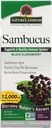 Nature's Answer Sambucus 栄養補助食品, 毎日の免疫と抗酸化サポートのためのオリジナル | アメリカ製 | アルコールフリー, グルテンフリー & ビーガン 4oz (パック 1)