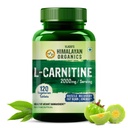 Himalayan Organic L-Carnitine L-Tartrate with Green Tea Extract 2000 Mg | 健康的な体重管理 | 筋肉の回復、ブーストのエネルギー、持久力、脂肪燃焼をサポート -120 ベジタリアンタブレット