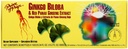 平和の王子 Ginkgo Biloba&Red Pan Gns 30X10 Cc