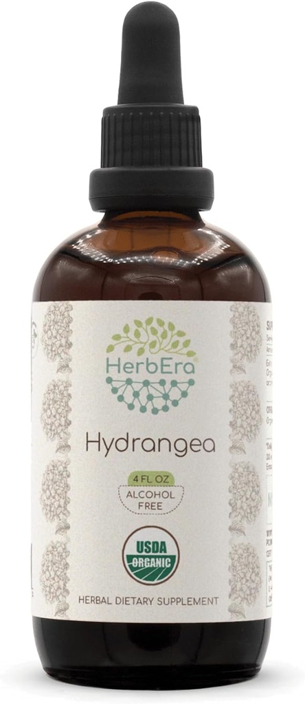 HerbEra Hydrangea B120 USDA Organic Tincture | アルコールフリーエキス、高確率ハーブドロップ | 認定有機Hydrangea(Hydrangea arborescens) ドライルート (4 oz)