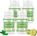ナチュラル&ピュアハーブ Garcinia CAMBOGIA(Garcinia)エキスカプセル | 最大の効力、100%ハーブ製品 | 60 X 500mgのパック。 野菜。 カプセル(4瓶パック)
