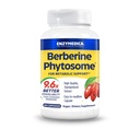 Enzymedica、Berberine Phytosome、9.6Xよりよい生物学的利用性、メタボリック サポートのための高い効力の自然なビーガンの食事療法の補足、60のカプセル