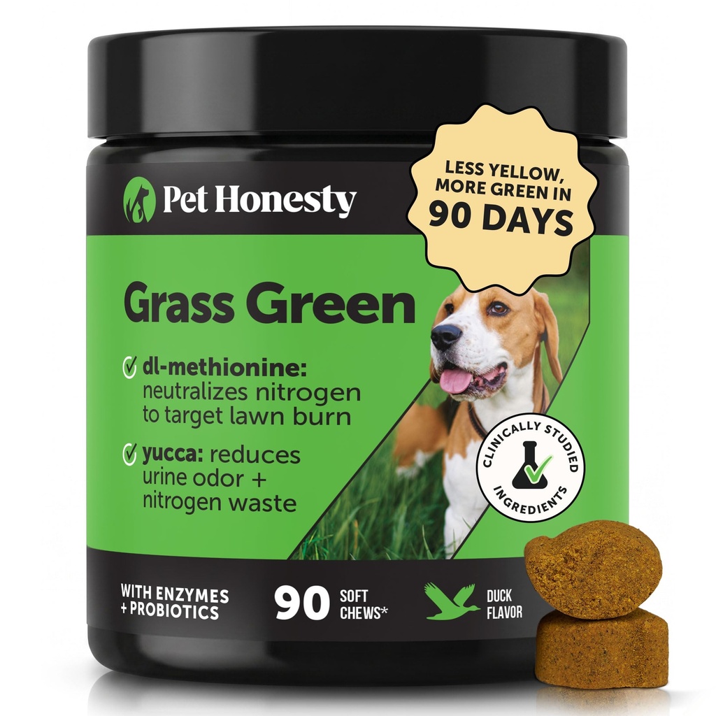 草の緑の犬の咀嚼 - 芝生のための尿中化装置、犬の皮の草は Yard の滞在の緑は Probiotics 及び酵素(アヒル)と点を焼くのを助けます