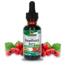 Nature's Answer Hawthorn Berries | ヘルシーな循環機能の推進 | ヘルシーなコレステロール値を維持するのに役立ちます | グルテンフリー・アルコールフリー・コーシャ認定・保存料なし 1oz