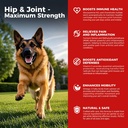 Dog Hip and Joint Supplement - Dog Pain Relief Anti Inflammatory with Glucosamine, Chondroitin, MSM, Turmeric, Vitamin E, Omega 3 - Treats Hip Dysplasia, Arthritis - All Large Small Medium Breed