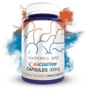 BaCognize Bacopa Monnieri カプセル | 300mg | 240 カウント | Ayurvedic Herb | Nootropic Brain Booster | サポート ストレス管理 | 改善 記憶、認知+気分
