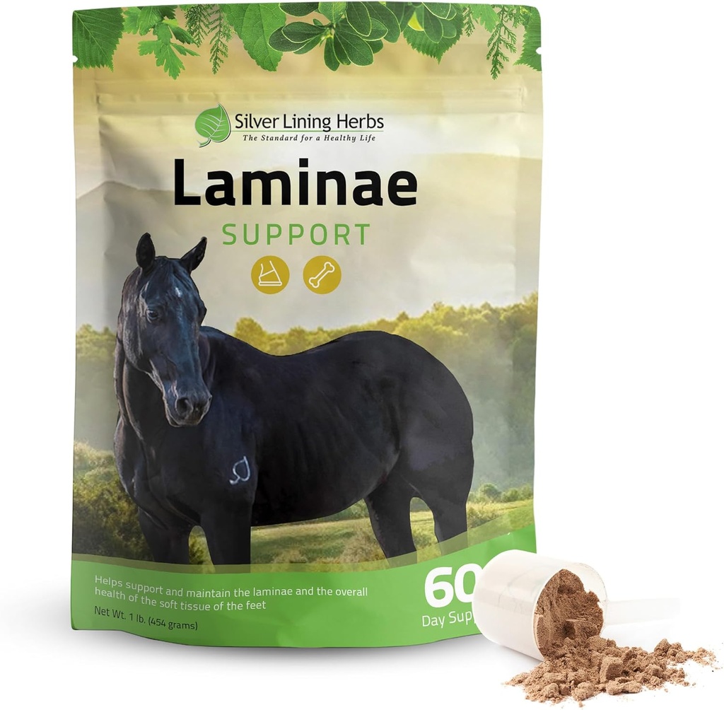 Silver Lining Herbs Laminae Support Horse Supplements Laminitis & Founder Support for Horse - Supporting Mobility, Sore Feet, Soft Foot Tissue & Better Coat - Herbal Hoof Supplements for Horses - 1 LB