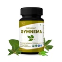 Gymnema 120錠 – USDA オーガニック ジムネマ シルベスト サプリメント