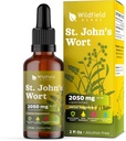 St. John's Wort Herb Tincture St Johns Wort Wart Extract Drops 2000mg(Hypericum perforatum) Herbal Supplement 1ヶ月の供給、84給餌、アルコールフリーのチンキ - 2 Oz、1のパック