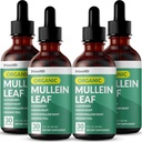 LungsとBronchialのための5-in-1 Mulleinドロップ - 肺のためのMullenリーフ抽出物と呼吸肺の健康サポート - エルダーベリー、Echinacea、ジンジャーRoot(120のサービング)とMutrinのチンキ