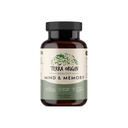 TERRA ORIGIN 健康心と記憶サポートサプリメント | 認知記憶マトリックス | 向知性CDP、Bacopa、L-Tyrosine、Huperzine A、Ginko、B12 | 非GMO、グルテンフリー、乳製品無料 | 30カプセル