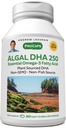 ANDREW LESSMAN Algal DHA 250mg 360 Softgels - 植物ベースのオメガ3オイル、天然海洋藻類、高DHA、非GMO、高効力、胃のアップセットなし、魚介の後味。 スワローしやすい