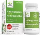 テリー自然に Andrographis と Ashwagandha - 免疫システムサポート サプリメント - エネルギーと健康的なストレス レスポンスをサポート - エネルギー サポート サプリメント - 60 カプセル(60 のサービング)