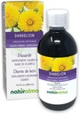 ナチュラルマ・タンポ(Taraxacum officinale) ルートとハーブ アルコールフリーのチンキ - 16.9 fl oz 液体エキス ドロップ - ハーブサプリメント - ビーガン