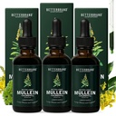 Betterbrand Mullein Lung Detox ドロップ (3-パック), 60ml Mullein 葉 呼吸の健康サポートのためのクロロフィルとチンキ - アルコールフリー - 3 ヶ月の供給