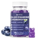 MSM及びElderberryの余分強さ3000MGのGlucosamineのコンドロイチンのグミー - 共同サポート、大人のための酸化防止免疫サポート補足、人及び女性- 90のBlueberry Gummies