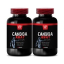 arabinogalactan、腸のfloraの補足、アロエベラ葉の粉の有機性- CANDIDA AWAY COMPLEX - オレガノオイルカプセル、ワームウッドの補足のカプセル、免疫のブースター、candidaサポート- 2本のびん120の帽子