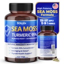 Sotalix Sea Mosss カプセル with Ashwagandha, Burdock Root, Bladderwrack, Turmeric - 強力な自然免疫ブースター - アメリカメイド (150 カウント)