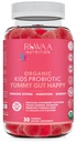 RUWAA NUTRITIONは消化器の健康、免疫サポート、便秘、呼吸のための有機性プロバイオティックのグミをからかいます。 2.5 Billion CFU, いちご風味, 子供の年齢のための咀嚼可能なプロバイオティクス 4+, 30ct (1)